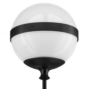 Бра Lightstar Globo 813617 в Салехарде - salekhard.mebel24.online | фото 3