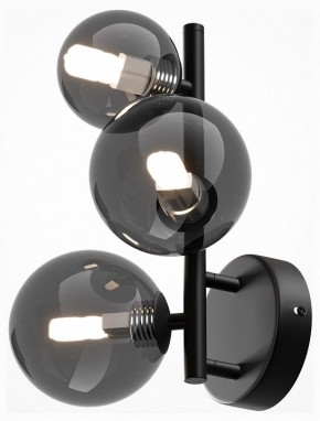 Бра Maytoni Dallas MOD545WL-03B в Салехарде - salekhard.mebel24.online | фото 2