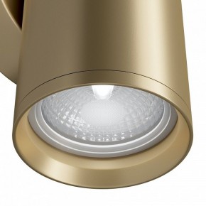 Бра Maytoni Focus S C068WL-02MG в Салехарде - salekhard.mebel24.online | фото 4