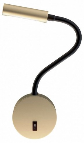 Бра Maytoni Stem C035WL-L3MG3K в Салехарде - salekhard.mebel24.online | фото