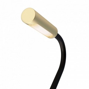 Бра Maytoni Stem C035WL-L3MG3K в Салехарде - salekhard.mebel24.online | фото 6