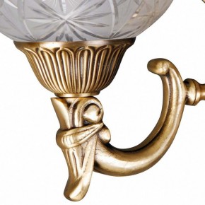Бра MW-Light Афродита 2 317021902 в Салехарде - salekhard.mebel24.online | фото 5