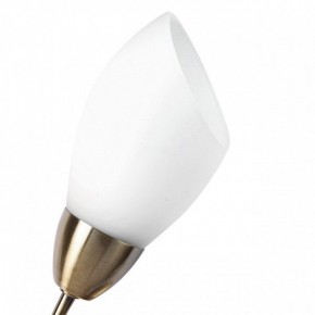 Бра MW-Light Нежность 7 356023001 в Салехарде - salekhard.mebel24.online | фото 2