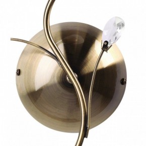 Бра MW-Light Нежность 7 356023001 в Салехарде - salekhard.mebel24.online | фото 3
