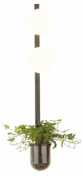 Бра Odeon Light Flower 4681/2WA в Салехарде - salekhard.mebel24.online | фото 3