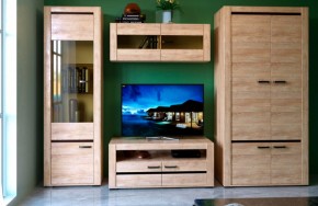 БЬЯНКА НКМ Гостинная (модульная) дуб баррик в Салехарде - salekhard.mebel24.online | фото 1