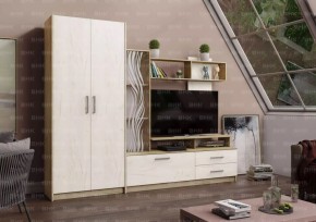 ДАРЬЯ Гостиная (Крафт серый/Крафт белый) в Салехарде - salekhard.mebel24.online | фото