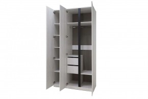 ДЕЛИ 3 Шкаф 3-х створчатый в Салехарде - salekhard.mebel24.online | фото 6