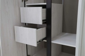 ДЕЛИ 3 Шкаф 3-х створчатый в Салехарде - salekhard.mebel24.online | фото 7