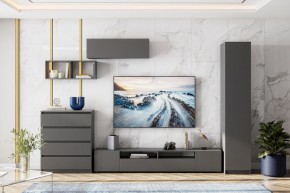 ДЕНВЕР Пенал (Графит серый) в Салехарде - salekhard.mebel24.online | фото 4