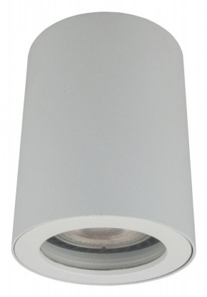DK3007-WH Накладной светильник влагозащ., IP 44, 15 Вт, GU10, белый, алюминий в Салехарде - salekhard.mebel24.online | фото 2