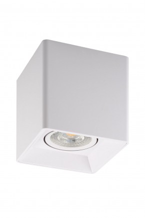 DK3030-WH Светильник накладной IP 20, 10 Вт, GU5.3, LED, белый, пластик в Салехарде - salekhard.mebel24.online | фото 1