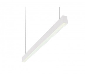 DK9124-WH Линейный светильник 30W 1250mm 4000K, белый в Салехарде - salekhard.mebel24.online | фото 1