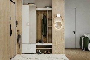 Гарнитур для прихожей Торонто в Салехарде - salekhard.mebel24.online | фото 5