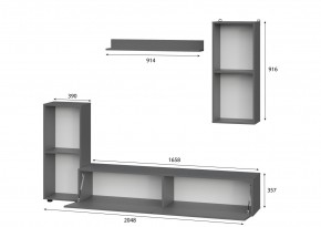 Гостиная МГС 10 (Графит) в Салехарде - salekhard.mebel24.online | фото 2