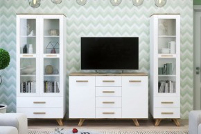 Гостиная Вега Скандинавия (комплект 1) в Салехарде - salekhard.mebel24.online | фото
