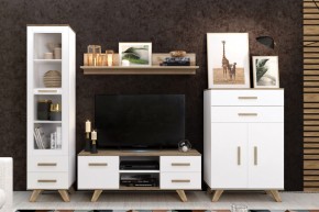 Гостиная Вега Скандинавия (комплект 2) в Салехарде - salekhard.mebel24.online | фото