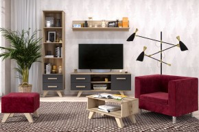 Гостиная Вега Скандинавия (комплект 5) в Салехарде - salekhard.mebel24.online | фото 2