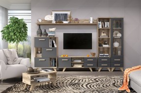 Гостиная Вега Скандинавия (комплект 6) в Салехарде - salekhard.mebel24.online | фото