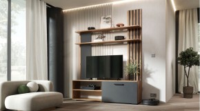 КАРОЛИНА Гостиная (дуб вотан/графит) в Салехарде - salekhard.mebel24.online | фото