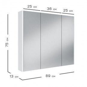 Кларити Шкаф зеркальный 16.312.05 в Салехарде - salekhard.mebel24.online | фото 3