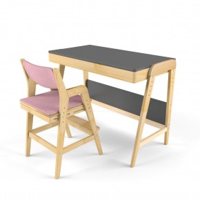 Комплект растущий стол и стул с чехлом 38 попугаев «Вуди» (Серый, Береза, Розовый) в Салехарде - salekhard.mebel24.online | фото