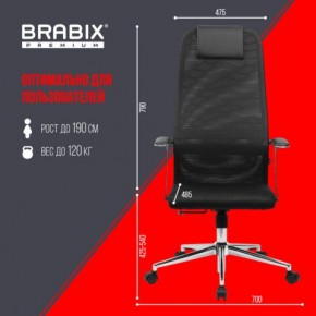 Кресло BRABIX PREMIUM "Ultimate EX-801" хром, плотная двойная сетка Х2, черное, 532917 в Салехарде - salekhard.mebel24.online | фото 7