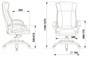 Кресло для руководителя Бюрократ CH-879N в Салехарде - salekhard.mebel24.online | фото