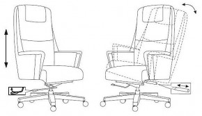 Кресло для руководителя Бюрократ _DUKE в Салехарде - salekhard.mebel24.online | фото 8