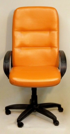 Кресло компьютерное Пилот в Салехарде - salekhard.mebel24.online | фото 3