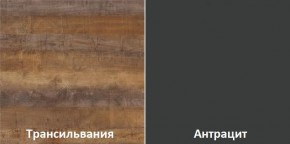 Кухонный гарнитур угловой Трансильвания 2600х1600 мм (Стол. 38 мм) в Салехарде - salekhard.mebel24.online | фото 3