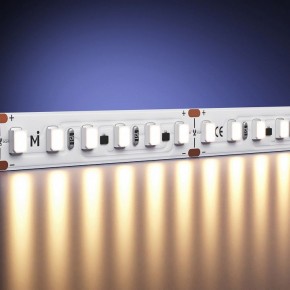Лента светодиодная Maytoni  201121 в Салехарде - salekhard.mebel24.online | фото 2