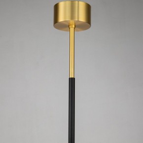 Люстра на штанге Favourite Maximo 2623-12P в Салехарде - salekhard.mebel24.online | фото 7