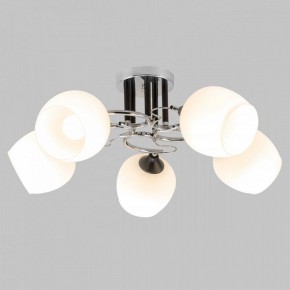 Люстра на штанге Imex MD.3618 MD.3618-5-S-CH+BK в Салехарде - salekhard.mebel24.online | фото 2