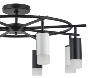 Люстра на штанге Lightstar Rullo LR7183743641 в Салехарде - salekhard.mebel24.online | фото 4