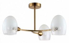 Люстра на штанге Lumion Kendall 6514/3C в Салехарде - salekhard.mebel24.online | фото