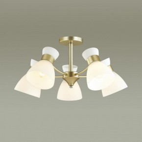 Люстра на штанге Lumion Wilma 4535/5C в Салехарде - salekhard.mebel24.online | фото 3