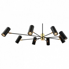 Люстра на штанге Lussole Duncan LSP-8252 в Салехарде - salekhard.mebel24.online | фото 2