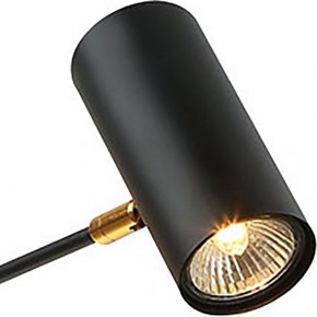 Люстра на штанге Lussole Duncan LSP-8252 в Салехарде - salekhard.mebel24.online | фото 3