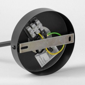 Люстра на штанге Lussole LSP-891 LSP-8914 в Салехарде - salekhard.mebel24.online | фото 4