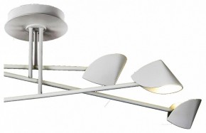Люстра на штанге Mantra Capuccina 7572 в Салехарде - salekhard.mebel24.online | фото 3