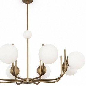 Люстра на штанге Maytoni Rendez-vous MOD109PL-08BS в Салехарде - salekhard.mebel24.online | фото 4