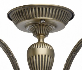 Люстра на штанге MW-Light Аманда 6 481011805 в Салехарде - salekhard.mebel24.online | фото 10