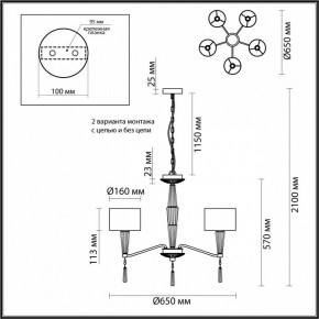 Люстра на штанге Odeon Light Latte 5403/5 в Салехарде - salekhard.mebel24.online | фото 7