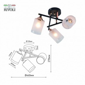 Люстра на штанге Rivoli Fiona Б0059259 в Салехарде - salekhard.mebel24.online | фото