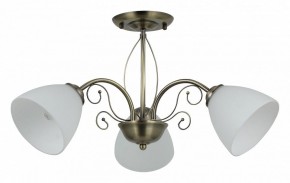 Люстра на штанге Rivoli Sue Б0060985 в Салехарде - salekhard.mebel24.online | фото