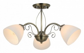Люстра на штанге Rivoli Sue Б0060985 в Салехарде - salekhard.mebel24.online | фото 2