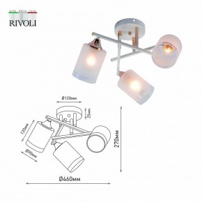 Люстра на штанге Rivoli Tammy Б0059258 в Салехарде - salekhard.mebel24.online | фото