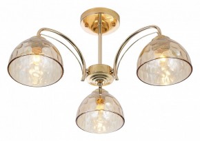 Люстра на штанге Rivoli Terri Б0060988 в Салехарде - salekhard.mebel24.online | фото