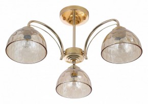 Люстра на штанге Rivoli Terri Б0060988 в Салехарде - salekhard.mebel24.online | фото 2